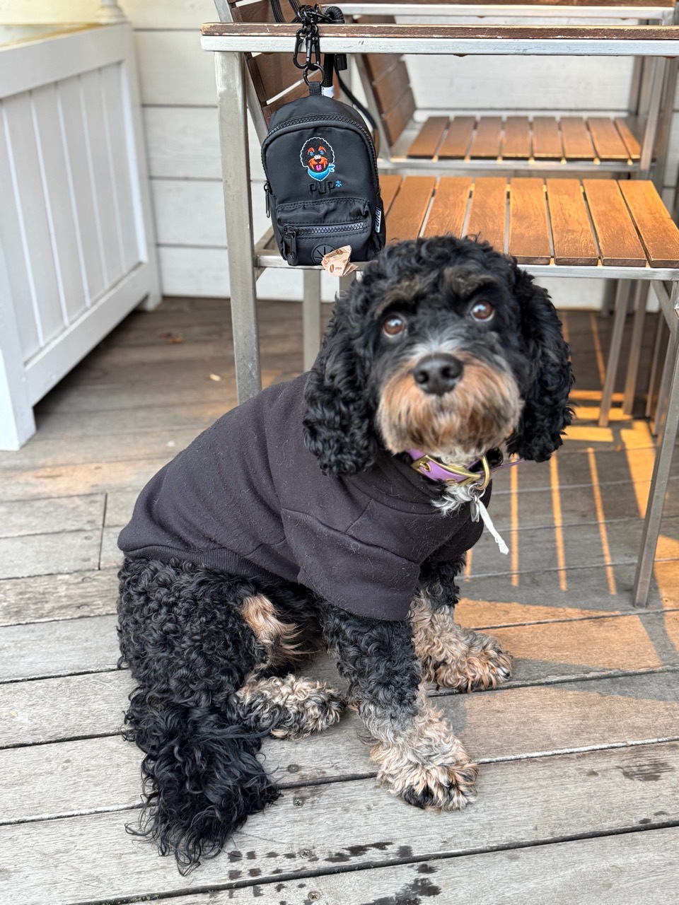 Jordan the dog beside a PUP utility bag